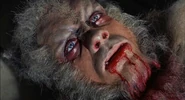 Curse-of-the-Werewolf-Death-of-Leon2.jpg (61 KB) Oliver Reed in The Curse of the Werewolf