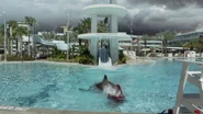 S3 OHN 0742.jpg (233 KB) Chris Kirkpatrick’s death in Sharknado 3: Oh Hell No!