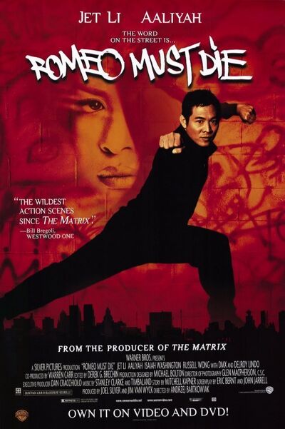 Romeo-Must-Die-photo-romeo-must-die-17848010-580-871.jpg