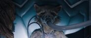 Bradley Cooper's temporary death, in Guardians of the Galaxy Vol. 3