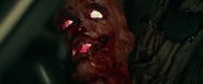 Christopher Allen Nelson's head (prop) in Halloween