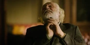 Rade Šerbedžija
