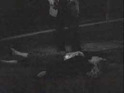 Jayne Mansfield Crash Dog