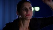 Angie Harmon in Chuck: Chuck versus Operation Awesome