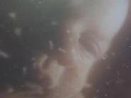 Ashtonkutcher2.jpg (3 KB) Ashton Kutcher