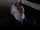 Andrew Laing