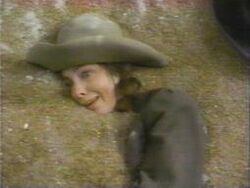 Kathleen Quinlan in Picture Windows: Lightning