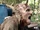 Scott Ian