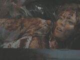 The Uninvited (2009)