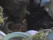 Jamesbooth-manwhohadpower.jpg (6 KB) James Booth in The Man Who Had Power Over Women