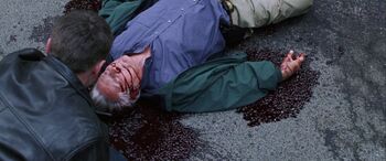 Martinsheen