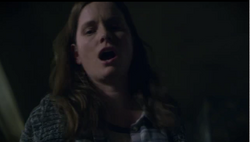 Jamie anne allman the shield