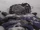 Into Thin Air: Death on Everest (1997 TV)