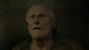PeterVaughan-GameOfThrones-DyingOfOldAge.jpeg (414 KB) Peter Vaughan