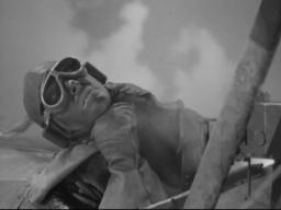Errolflynn