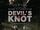 Devil's Knot (2013)