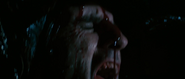 Harry Dean Stanton