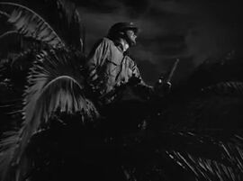 Barrynelson2
