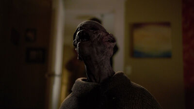 Freda Foh Shen's GGI Animated death in Grimm: Mommy Dearest