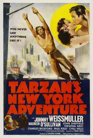 THE STORY OF TARZAN ～2007 TOUR FINAL & DOUBLE TV DOCUMENTS