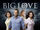 Big Love (2006 series)