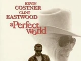 A Perfect World (1993)