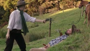 Adam King in Red Dead Logic: Sexiest