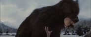 Dakota Fanning's death in The Twilight Saga: Breaking Dawn Part 2