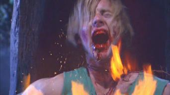 Gregcipes