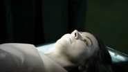 Amy Acker