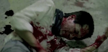 Bing-Sum Hui in Cops and Robbers