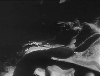 Lizabeth Scott in Too Late for Tears