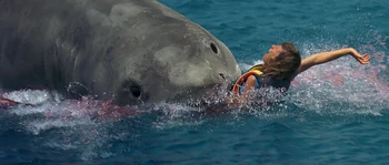 Diane Hetfield in Jaws: The Revenge