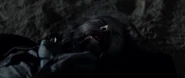 Santiago Segura's actual death scene in The Last Circus