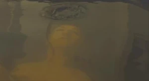 Busty Heart | Cinemorgue Wiki | Fandom