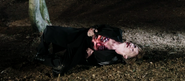 Thomas Kretschmann in Dracula 3D
