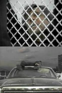 Top: Sam Groom in Mike Hammer: More Than Murder. Bottom: Sam Groom dead in Mike Hammer: More Than Murder