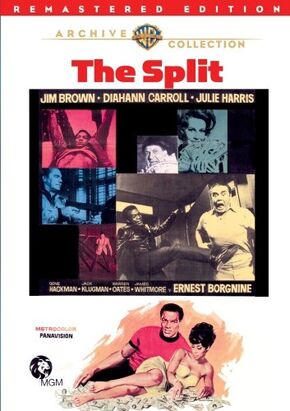 TheSplitWarnerArchive