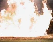 Untitledlllllllllllllllllldd0dd.png (46 KB) Elizabeth Berkley's death in Molly & Gina