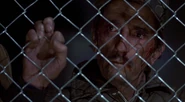 1 6qqcuUoVEunYQwCsKx3MeA.jpg (386 KB) Harry Dean Stanton in Red Dawn
