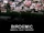 Birdemic: Shock and Terror (2010)