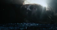 Giorgia Whigham dead in Scream: Endgame