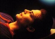 Terry Farrell
