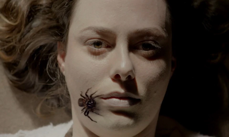 Chelsea Evans Wiki Fandom