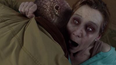 Scnet grimm4x17 0261