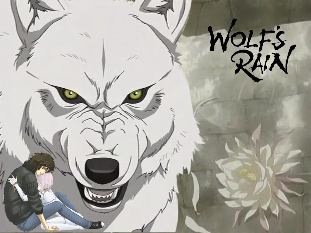 HD wallpaper: Anime, Wolf's Rain, Animal | Wallpaper Flare