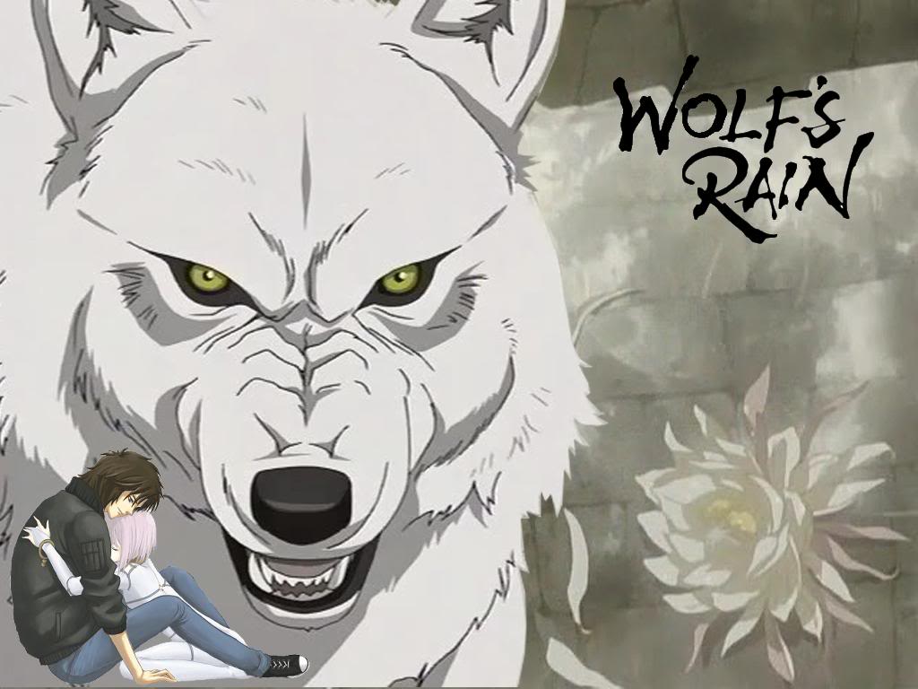 Benefit of the Doubt Wolfs Rain Benefit of the Doubt reviews an anime  series