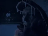 Krampus (2015)