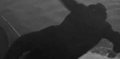 William Haade Wiki Fandom