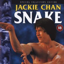 Snake In The Eagle S Shadow 1978 Cinemorgue Wiki Fandom